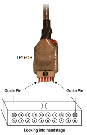 LP16CH Headstage