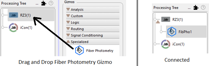 Drag and drop fiber photometry gizmo for
iCon