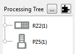 RZ2 selected in the Processing Tree RZ2 selected in the Processing Tree