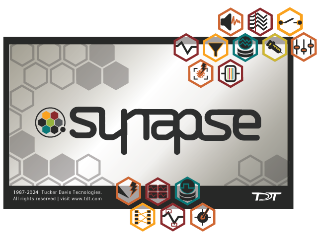 Synapse Overview - Synapse Manual