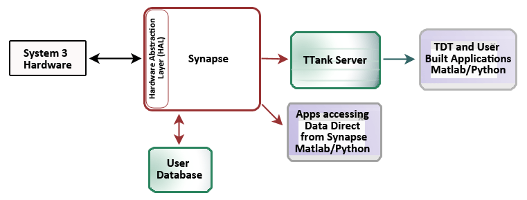 How To Use Synapse X? - TechBullion