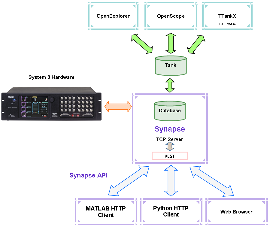 SynapseAPI Overview