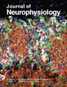 Deep Brain Stimulation of the Globus Pallidus Internus in the Parkinsonian Primate: Local Entrainment and Suppression of Low-Frequency Oscillations