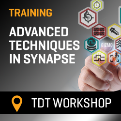 TDT Workshop: Advanced Techniques in Synapse