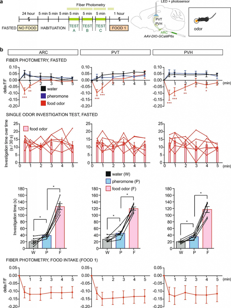 Liberles lab results with fiber photometry