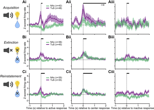 Wesson Lab research findings