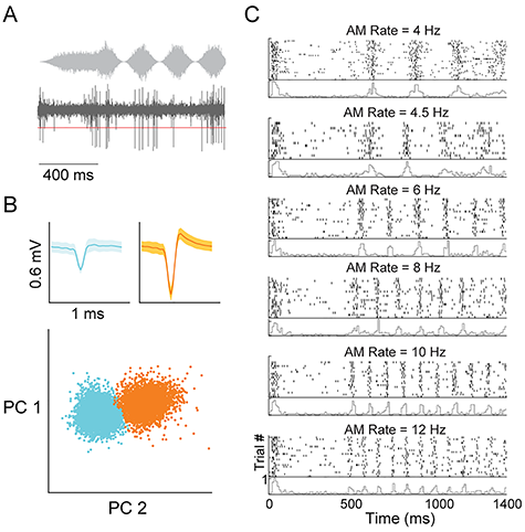 Sanes lab research results