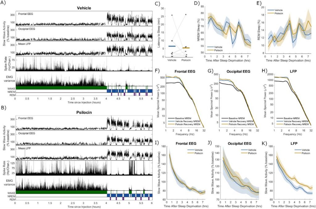 Vyazovskiy lab findings, figure 4 