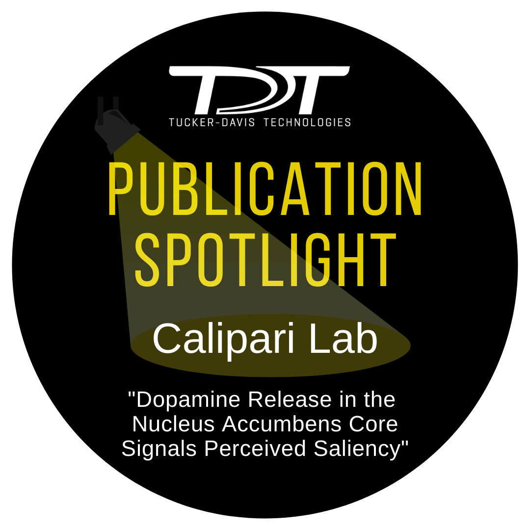 Publication Spotlight - Calipari Lab