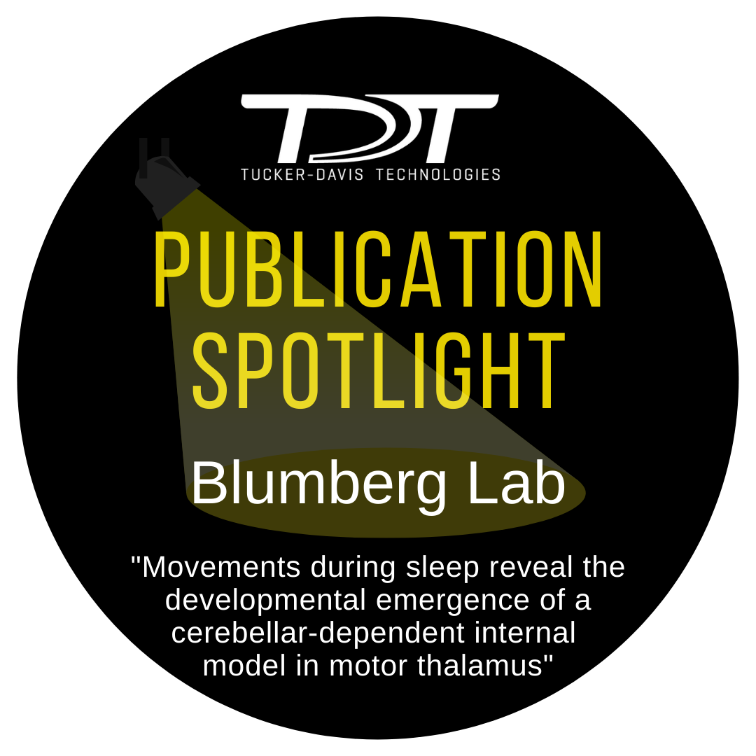 Publication Spotlight - Blumberg Lab